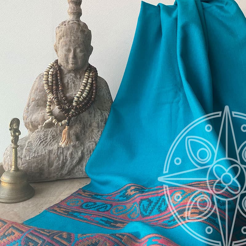 5. Chal Pashmina Hindi